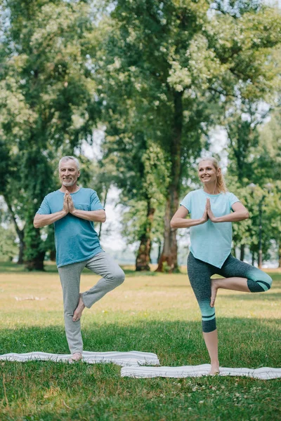 Moden Mand Kvinde Mediterer Træ Udgør Mens Står Yoga Måtter - Stock-foto