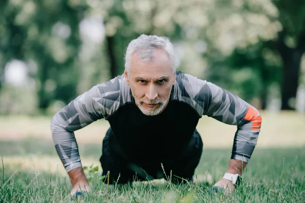 Confident Mature Sportsman Doing Push Ups Barbells Lawn Park — Stock Photo, Image