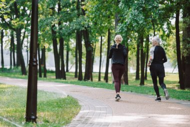 parkta birlikte çalışan sportif, olgun sporcu ve sporcunun arka görünümü