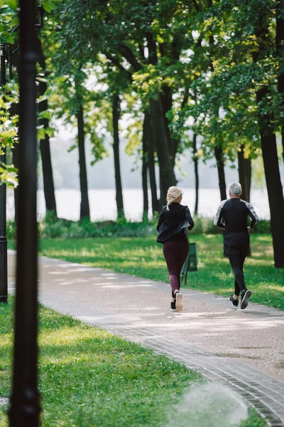 公園の舗装でジョギング成熟したスポーツマンとスポーツウーマンのバックビュー — ストック写真