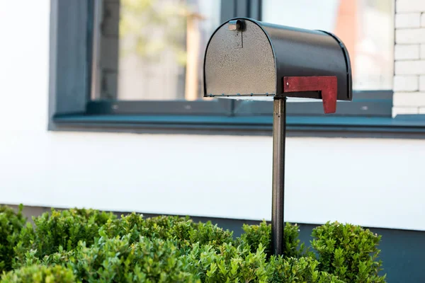 black metal mailbox near green bushes before house