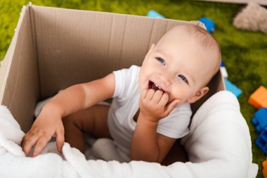 Cute blue-eyed child sitting and smiling in cardboard box with blanket clipart