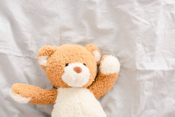 Вид сверху плюшевого плюшевого медведя на белом коне
