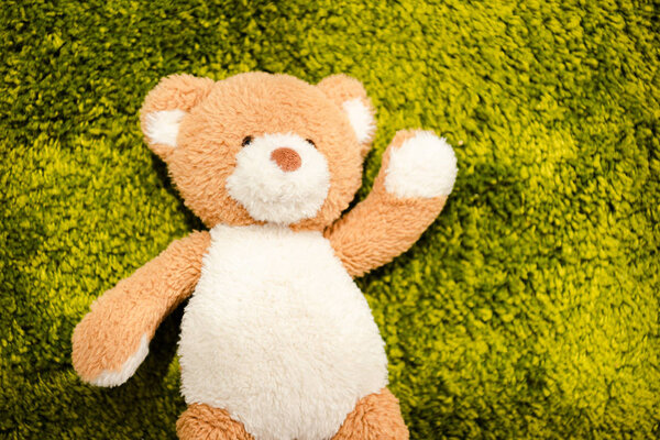 Top view of plush teddy bear on green soft carpet