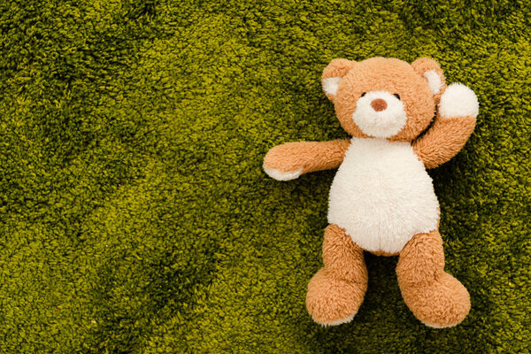 Top view of plush brown bear on green soft carpet