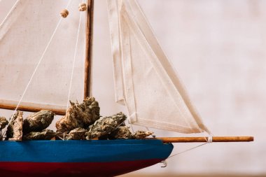 close up view of decorative ship with dried plant lumps clipart