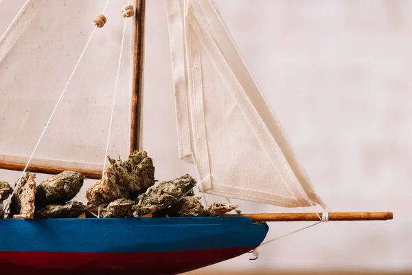 Vista Cerca Del Barco Decorativo Con Terrones Plantas Secas — Foto de Stock