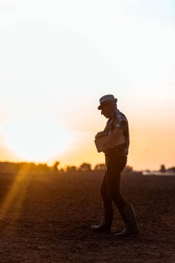 gün batımında yürürken ahşap kutu tutan hasır şapka çiftçinin yan görünümü 