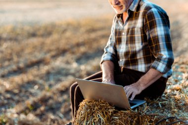 cropped view of happy self-employed farmer typing on laptop while sitting on bale of hay  clipart