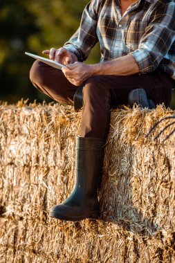 cropped view of self-employed farmer using digital tablet while sitting on bale of hay  clipart
