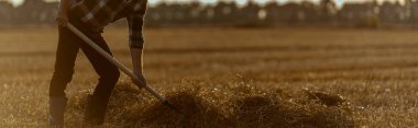 panoramic shot of self-employed man holding rake with hay in wheat field  clipart