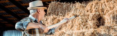 panoramic shot of senior man holding rake near hay  clipart