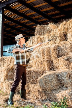 senior farmer in straw hat holding rake near hay  clipart