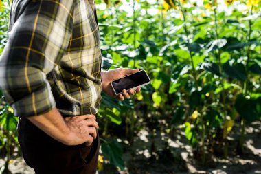 kalça üzerinde el ile ayakta ve boş ekran ile akıllı telefon tutan çiftçi kırpılmış görünümü 