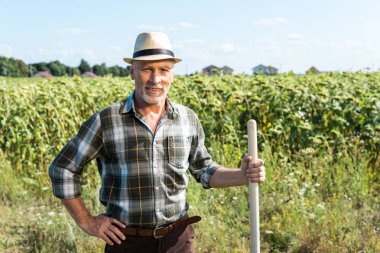 yeşil alan yakınında raf tutan neşeli serbest çalışan adam 