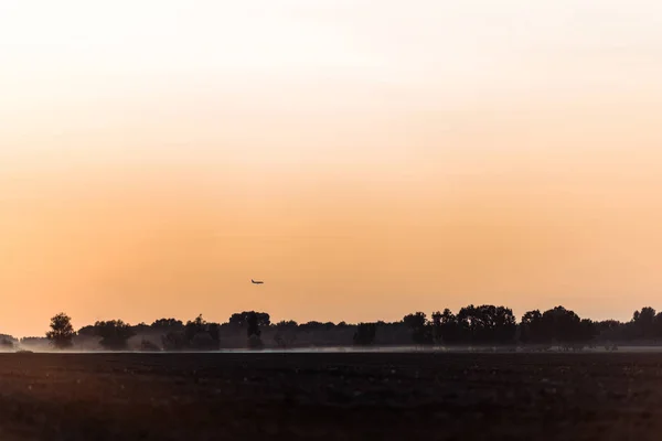 Weizenfeld Neben Bäumen Und Orangefarbener Himmel Abend — Stockfoto
