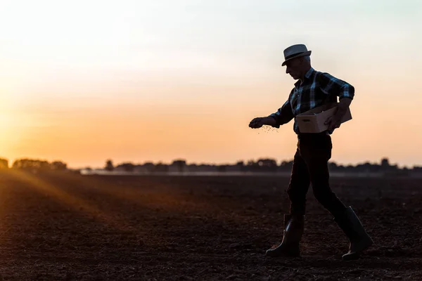 麦わら帽子の歩行と種まきの農家のプロフィール — ストック写真