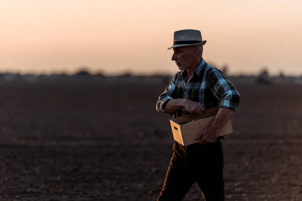 畑に箱を持っている自営業農家 — ストック写真