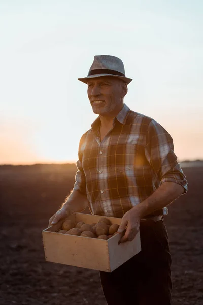 Щасливий Фермер Тримає Коробку Органічною Картоплею — стокове фото