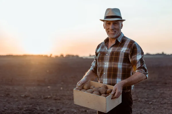 有機ジャガイモと箱を保持する陽気な自営業農家 — ストック写真
