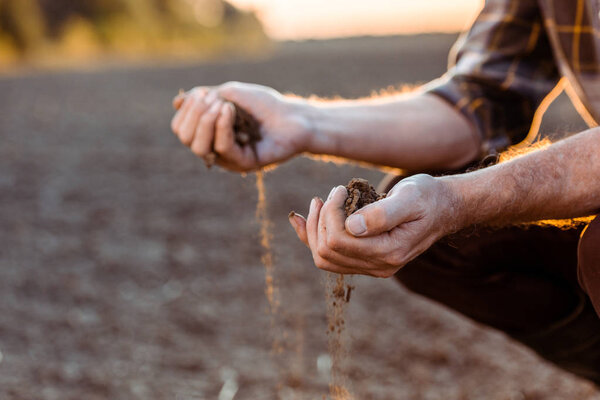 selective focus of self-employed farmer sowing seeds in evening 