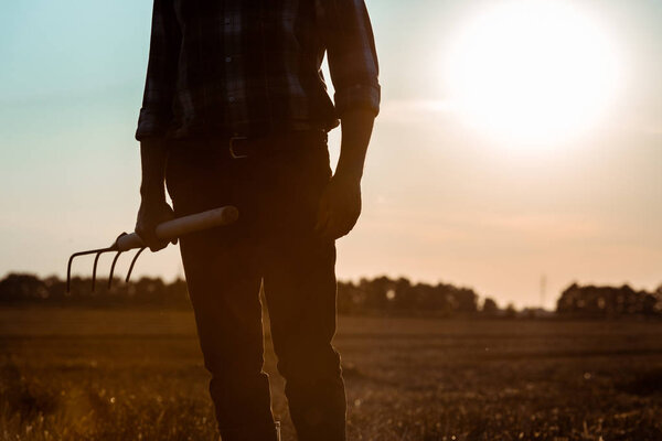 cropped view of self-employed man holding rake in wheat field 
