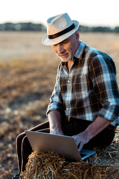 Feliz Homem Autônomo Sentado Fardo Feno Digitando Laptop — Fotografia de Stock