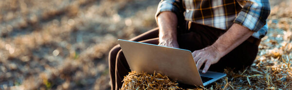 panoramic shot of self-employed man typing on laptop while sitting on bale of hay 