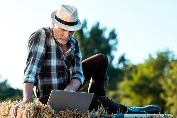 Self Employed Farmer Typing Laptop While Sitting Bale Hay — Stock Photo, Image