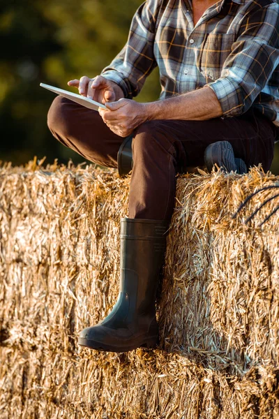 坐在干草捆上 使用数字平板电脑的个体经营农民裁剪视图 — 图库照片