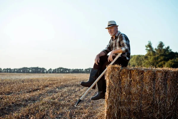 Uomo Barbuto Allegro Cappello Paglia Seduto Balla Fieno Vicino Campo — Foto Stock