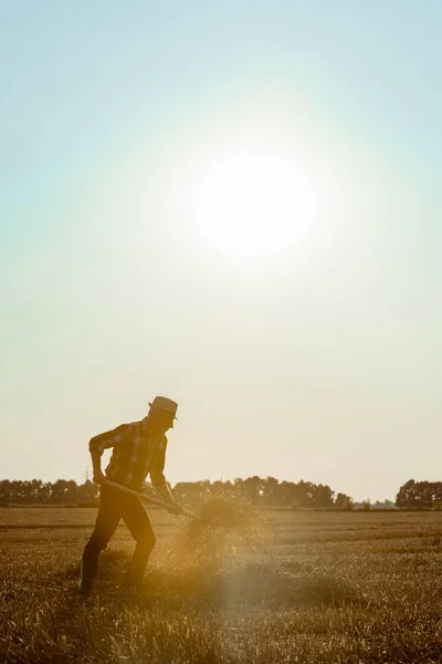 Side View Senior Man Straw Hat Holding Rake Hay Wheat — Stock Photo, Image