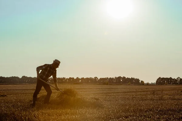 麦畑で干し草を持った熊手を持つ麦わら帽子をかぶった自営業男性のプロフィール — ストック写真