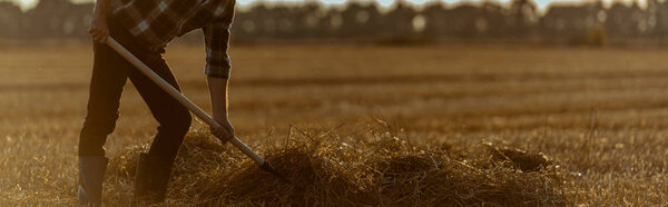panoramic shot of self-employed man holding rake with hay in wheat field 