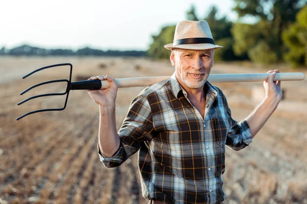 Pria Senior Yang Bahagia Memegang Garuk Dekat Ladang Gandum — Stok Foto