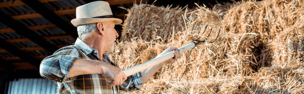 panoramic shot of senior man holding rake near hay 