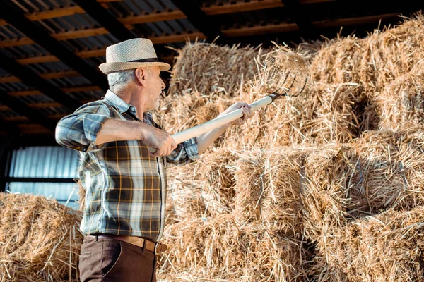 senior man in straw hat holding rake near hay