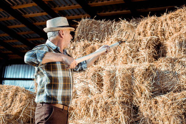 senior man in straw hat holding rake near hay 