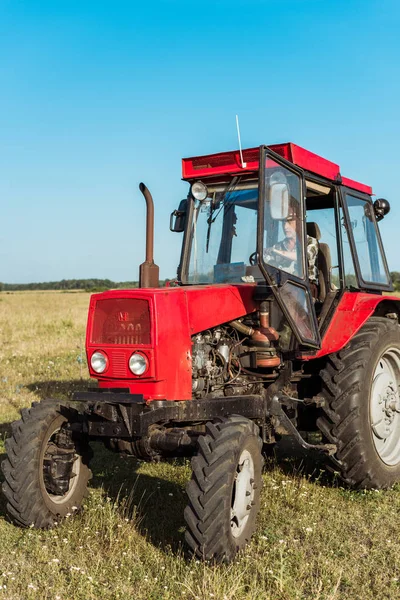 小麦畑で赤いトラクターを運転するシニア農家 — ストック写真