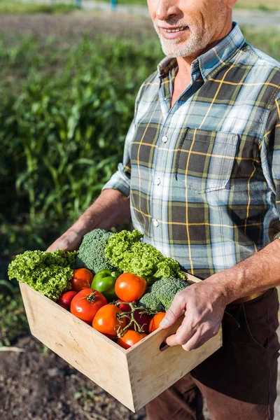 Zugeschnittene Ansicht Eines Glücklichen Bauern Der Eine Holzkiste Mit Gemüse — Stockfoto