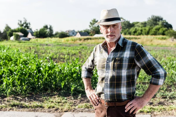 Agricultor Autônomo Chapéu Palha Com Mãos Nos Quadris Perto Campo — Fotografia de Stock