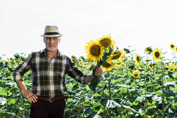 счастливый фермер, стоящий с рукой на бедре и держащий подсолнухи возле поля
 