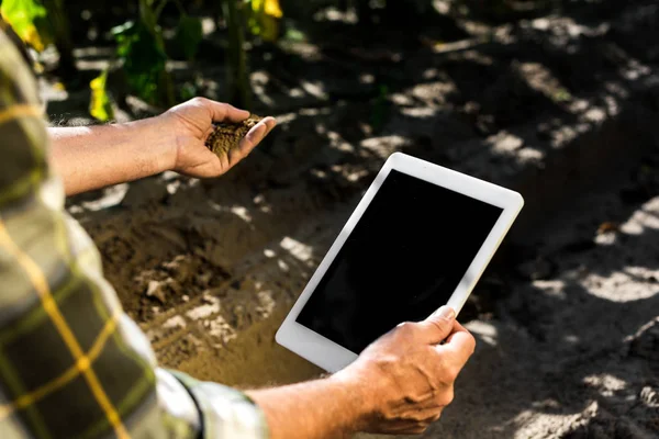 cropped view of senior self-employed farmer holding digital tablet with blank screen