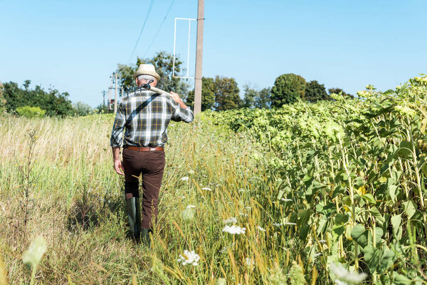 back view self-employed man holding rack near green field 