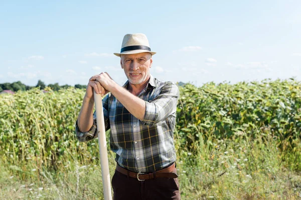 Granjero Feliz Sosteniendo Rastrillo Sonriendo Campo — Foto de Stock