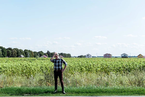 Senior Self Employed Farmer Touching Straw Hat Standing Hand Hip — Stock Photo, Image