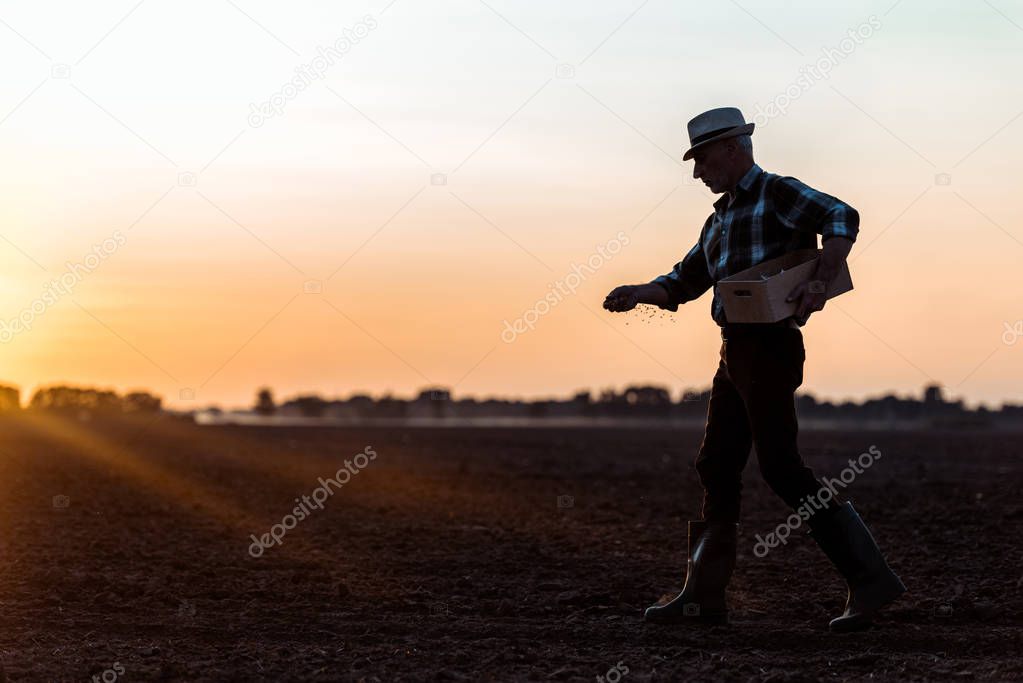 profile of farmer in straw hat walking and sowing seeds  