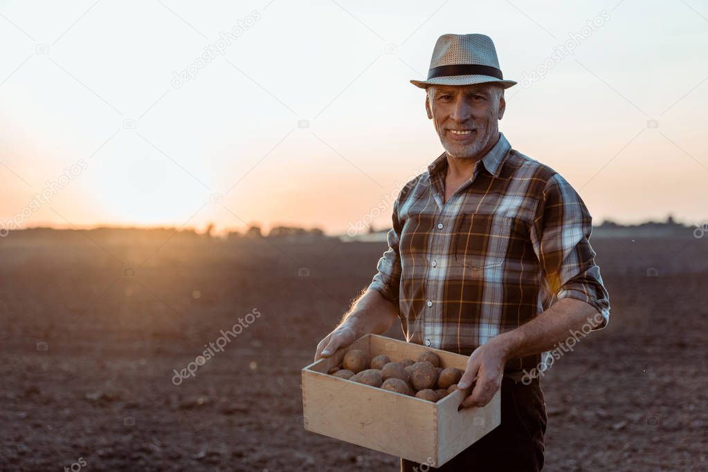 cheerful self-employed farmer holding box with organic potatoes 