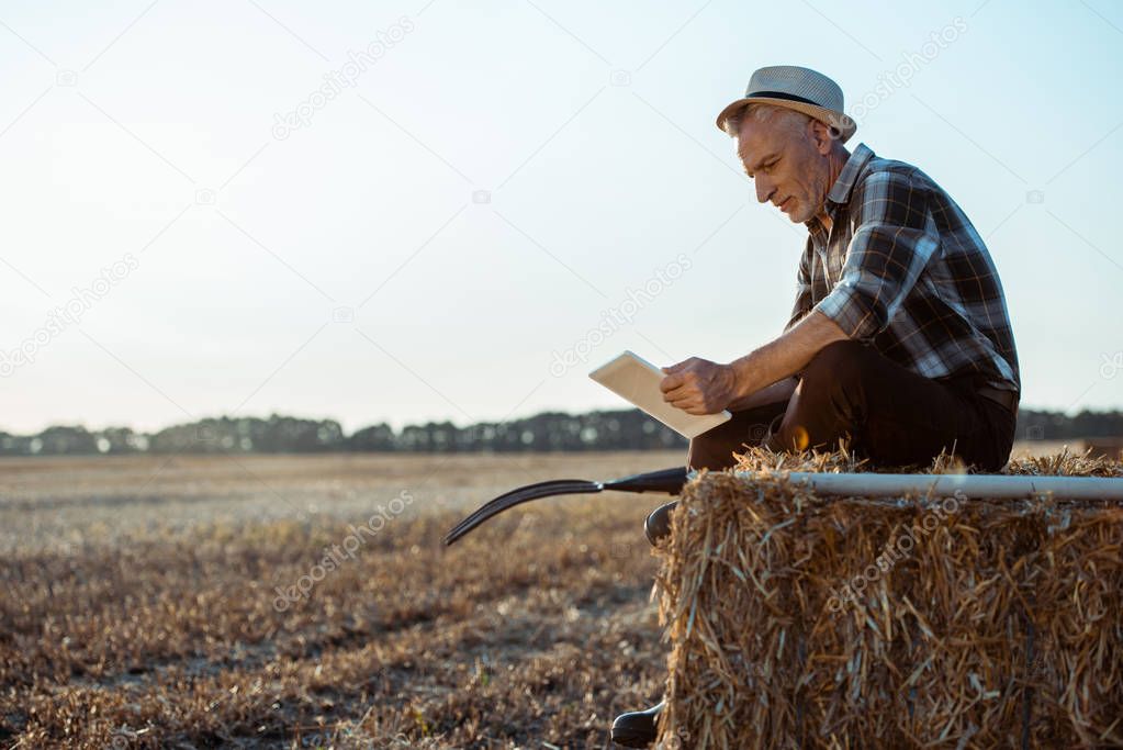 cheerful self-employed farmer using digital tablet while sitting on bale of hay 