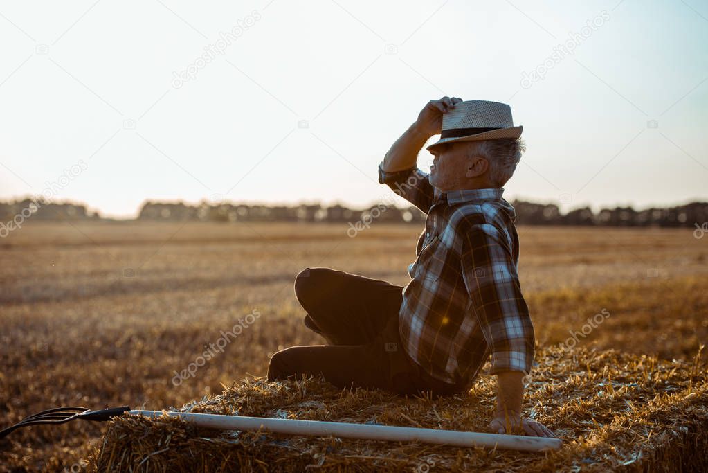 bearded farmer sitting on bale of hay and touching straw hat  